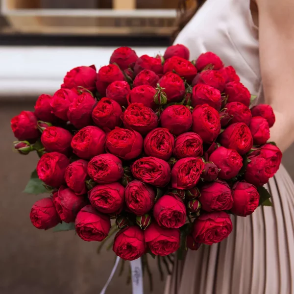Букет из пионовидных роз RED PIANO 51 шт — Розы