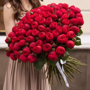 Букет из пионовидных роз RED PIANO 101 шт — Розы