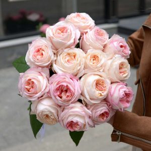 Букет из пионовидных роз ANGIE ROMANCE 15 шт — Доставка роз