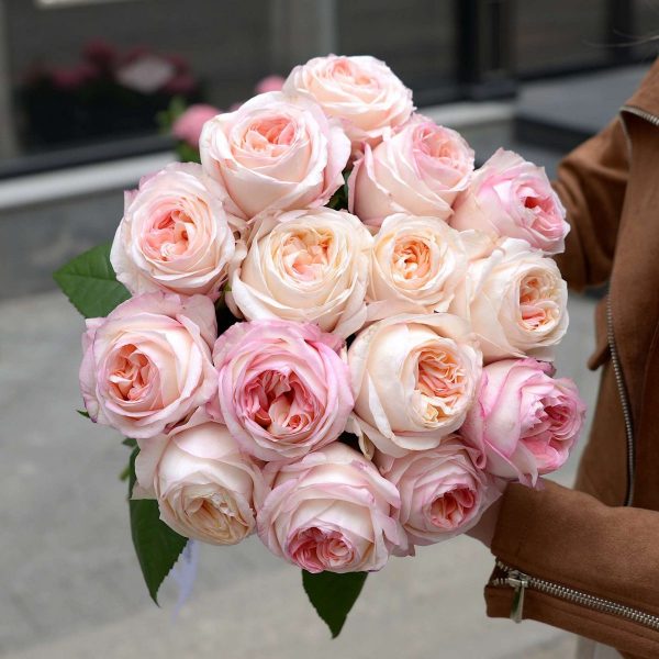 Букет из пионовидных роз ANGIE ROMANCE 15 шт — Розы