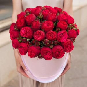 Пионовидные розы "Red Piano" в шляпной Коробке