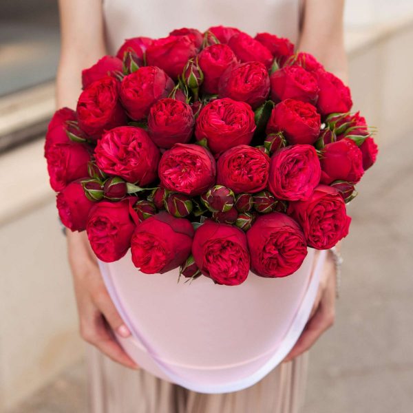 Пионовидные розы «Red Piano» в Шляпной Коробке — Розы