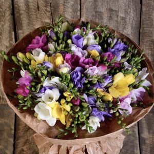 Букет из 25 ярких фрезий — Букеты цветов