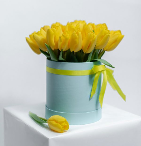 Букет из 25 желтых тюльпанов в коробке — Тюльпаны