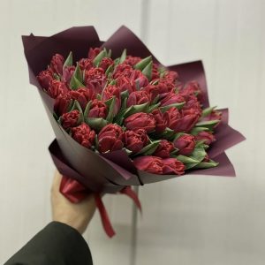 Букет из 49 бордовых тюльпанов — Тюльпаны