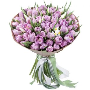 Букет из 75 сиреневых тюльпанов — Тюльпаны