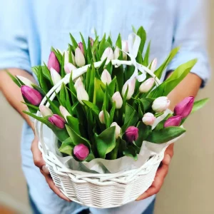 Букет из 21 нежного тюльпана в корзине — Тюльпаны