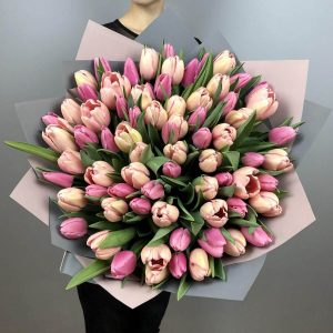 Букет из 75 нежных тюльпанов