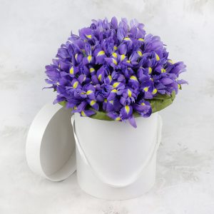 Букет из 49 ирисов в коробке — Букеты цветов