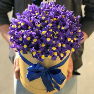 Букет цветов ирисы 45 шт в коробке — Букеты цветов