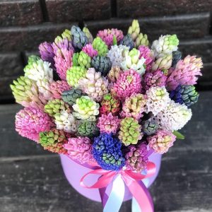 Букет из 49 гиацинтов Микс — Букеты цветов