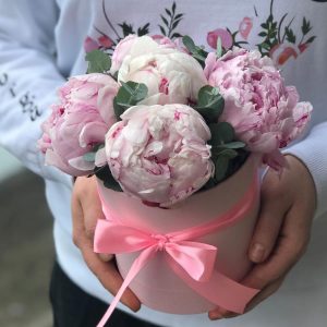 Букет из 5 розовых пионов в коробке — Пионы