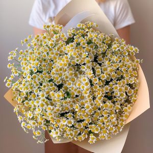 Букет из 25 садовых ромашек — Букеты цветов