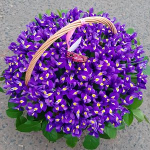 Букет из 101 ириса в корзине — Букеты цветов
