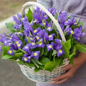 Букет из 29 ирисов в корзине — Букеты цветов