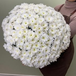 Букет из 35 белых хризантем — Букеты цветов