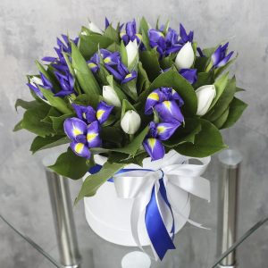 Коробка с цветами «Синие ирисы и белые тюльпаны» — Букеты цветов