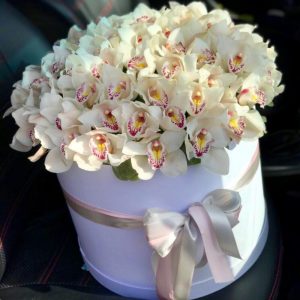 Букет из 35 белых орхидей в коробке —
