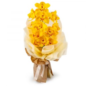 Букет из желтой орхидеи Тропиканка —