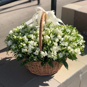 Букет из 201 белой фрезии в корзине — Букеты цветов