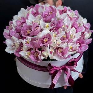 Шикарнейшие орхидеи в коробке — Букеты цветов