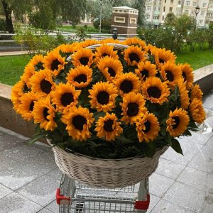 Букет из 55 подсолнухов в корзине — Букеты цветов