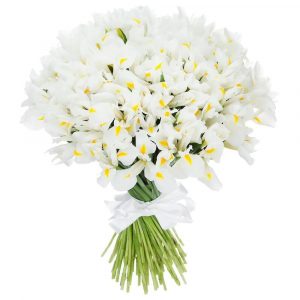 Букет из 49 белых ирисов — Букеты цветов
