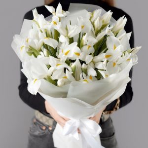 Букет из 25 белых ирисов — Букеты цветов