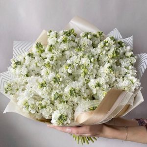 Букет из 19 белых маттиол — Букеты цветов