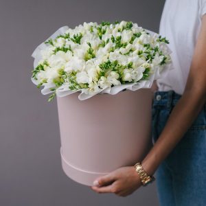 Букет из 71 белой фрезии в коробке — Букеты цветов