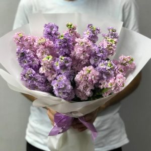 Букет из 21 сиреневой маттиолы — Букеты цветов