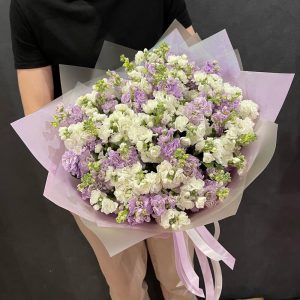 45 маттиол микс — Букеты цветов