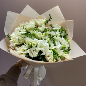 Букет из 39 белых фрезий — Букеты цветов