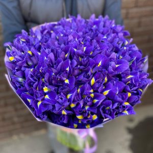 Букет из 99 ирисов — Букеты цветов