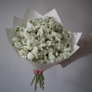 Букет из 9 белых маттиол — Букеты цветов