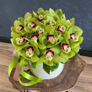 Фисташковые орхидеи в коробке — Букеты цветов