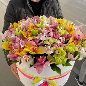 Большая коробка с яркими орхидеями