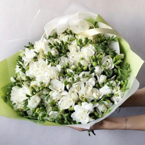 Букет из 51 белой фрезии — Букеты цветов