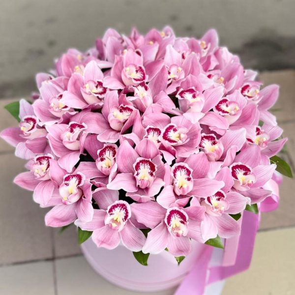 Коробка с нежными орхидеями