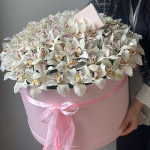 Букет из 55 белых орхидей в коробке — Букеты цветов
