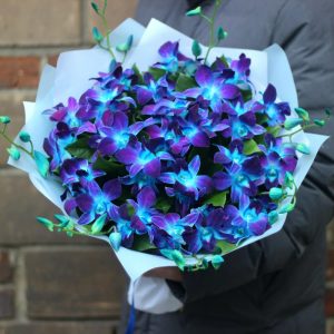 Букет из 45 синих орхидей