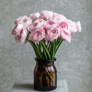 19 розовых ранункулюсов — Букеты цветов