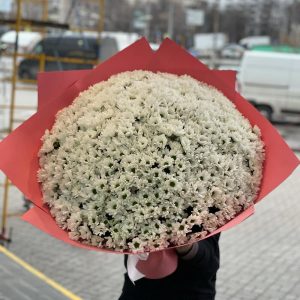 Букет из 101 белой хризантемы —