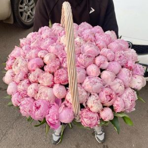 Букет из 71 розового пиона в корзине — Пионы