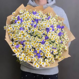 Букет полевые ромашки с ирисами — Букеты цветов