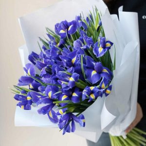 Букет из 25 синих ирисов — Букеты цветов