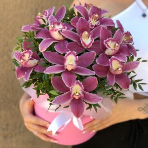 Букет из 11 фиолетовых орхидей в коробке — Букеты цветов