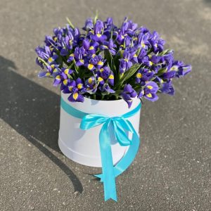 Букет из 51 ириса в коробке — Букеты цветов