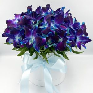 Космические орхидеи в шляпной коробке — Букеты цветов
