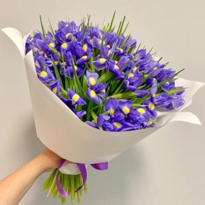 Букет из 49 ирисов в упаковке — Букеты цветов